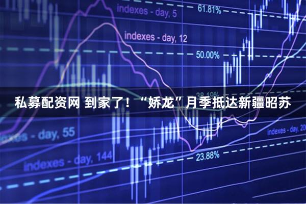 私募配资网 到家了！“娇龙”月季抵达新疆昭苏