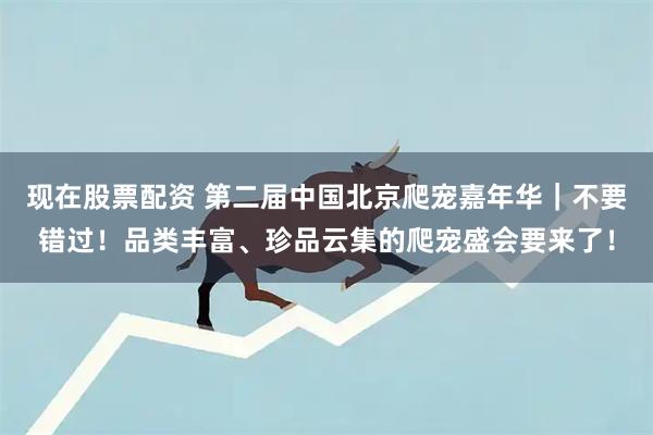现在股票配资 第二届中国北京爬宠嘉年华｜不要错过！品类丰富、珍品云集的爬宠盛会要来了！